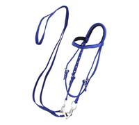 Psdndeww Serre-tête tendance en nylon pour cheval avec matériel argenté - Design pratique pour une utilisation stable