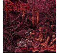 Pseudo Verminal Cadaverium