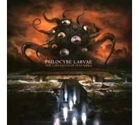 Psilocybe Larvae - Labyrinth of Penumbra