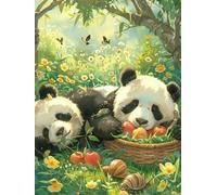 Pskgbxmu Kit estampillée au point de croix 11CT Canevas Broderie Deux pandas DIY Adultes Débutant Compté Point de Croix art Kits 40x50 cm