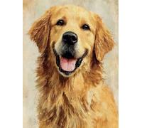 Pskgbxmu Kit estampillée au point de croix 11CT Canevas Broderie Golden Retriever DIY Adultes Débutant Compté Point de Croix art Kits 40x50 cm