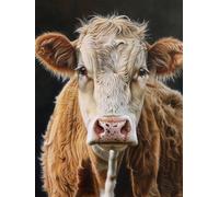 Pskgbxmu Kit estampillée au point de croix 11CT Canevas Broderie Vache DIY Adultes Débutant Compté Point de Croix art Kits 40x50 cm