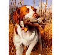 Pskgbxmu Kits de point de croix estampés chien de chasse Kit de démarrage de broderie au point de croix pré-imprimé 11CT pour adultes débutants -40x50 cm