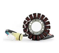 PSLER Bobine D'allumage de Moteur Magneto Stator pour moto pour ATV BEAR TRACKER YFM250 2001-2004 et pour BIG BEAR 250 YFM250 2007-2009 et pour BRUIN 250 YFM250 et pour 660 YFM660