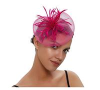 PSNKLMM Coiffe de mariée en plumes for bal fin d'année, épingle à cheveux fil filet, fleur, petit chapeau exquis, fascinateurs for femmes Pour Mariages, FêTes, FêTe D'Anniversaire(Rose Red)