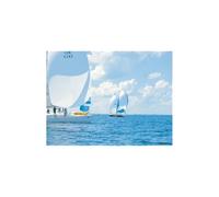 PSP Spinnaker Repair Tape 50mm x 4.5m Sea-Green