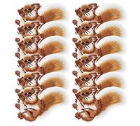 Pssopp 12 pièces Fer sur Patchs Patchs brodés écureuil Coudre sur Patchs Badge brodé Applique pour vêtements Chaussures Chapeau Sacs