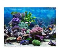 Pssopp Affiche de Fond D'aquarium à Effet 3D PVC Affiche de Fond D'aquarium D'aquarium du Monde sous-Marin pour Aquarium(61 * 30cm)
