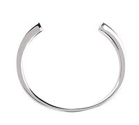 Pssopp Animaux Bracelet Urne Bracelet en Acier De Titane Bracelet De Cendres pour Animaux Mémorial pour Urne Mémorial Souvenir De Cendres Crémation Bijoux Chat Chien Porte-Cendres Bijoux