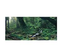 Pssopp Aquarium Fond Affiche Autocollant Belle PVC Adhésif Riverway Vert Woods Fond Affiche Fish Tank Décoration(91 * 50cm)