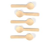Pssopp Artisanat 100 Pièces Mini Cuillère de 4 Pouces pour Dessert, Yaourt, Soupe, Crème Glacée avec Long Manche, Cuillères de Dégustation en Bois à Surface Polie, Cuillères de Dégustation en Bois