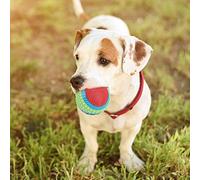 Pssopp Balle en Caoutchouc pour Chiot, Jouet à Mâcher avec Dispositif Sonore, Jouet Interactif Résistant aux Morsures pour Chiens et Chats, Idéal pour l'entraînement et Le Jeu