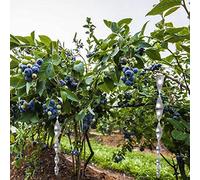 Pssopp Bird Reflective Scare Tons, Créez Facilement Votre Zone Anti-Oiseaux, 12pcs 30 Cm Reflective Scare Tiges, Un Dissuasion d'oiseaux pour l'environnement de la Maison et du Jardin (Silver)