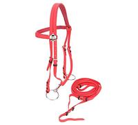 Pssopp Bridon Cheval, avec Harnais De Bride Rouge Réglable en PVC Tresses De Cheval De Mors Creux en Acier Inoxydable Amovible