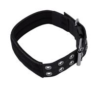 Pssopp Collier pour Chien Robuste pour Grands Chiens, Nylon avec Boucle Réglable et Rembourrage pour Dressage et Promenade en Extérieur (M)