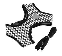 Pssopp Ensemble de Laisse pour Collier de Chien, Poignée en Réfléchissante Réglable, Laisse Robuste pour Chiens et Chats de Petite et Moyenne Taille (M)