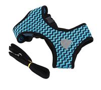 Pssopp Ensemble de Laisse pour Collier de Chien, Poignée en Réfléchissante Réglable, Laisse Robuste pour Chiens et Chats de Petite et Moyenne Taille (S)