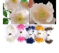 Pssopp Étamines de Fleurs Artificielles, 900 Pièces, Couleurs Mélangées Chaudes, Mini Étamines pour Bricolage et Décoration Florale