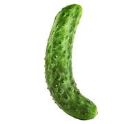 Pssopp Jouet pour Animaux de Compagnie en Peluche en Toile, Jouet à Mâcher pour Soulager Le Stress et Les Soins Dentaires, Matériau Durable, Idéal pour Les Chiens et Les Chats (Jouets pour Chat