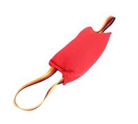 Pssopp Jouets pour Chiens, Jouet d'oreiller Interactif de Formation de Morsure de Chiot Durable et sans Bruit Portable pour Chien d'intérieur Extérieur Jouant au Nettoyage des Dents à Mâcher de