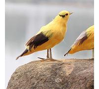 Pssopp Ornement d'animal à Plumes Artificielles de Jardin, Oiseau de Simulation Fait à la Main pour la Décoration de Jardin de Balcon de Maison, Modèle d'oriole Réaliste env. 7,87x5,91x3,15 Pouces