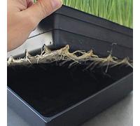 Pssopp Plateaux de Semis Peu Profonds, Plateaux de Démarrage de Graines en Plastique, 2 Pièces de 21,3x10,6 Pouces pour la Culture de Microgreens et de Semis (Black)