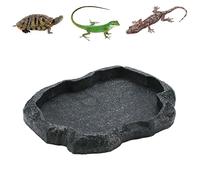 Pssopp Reptile Rock Plat à Eau Alimentaire Bol à Aliments pour Reptiles Plat à Aliments pour Animaux pour Tortue Lézard Gecko Caméléon(M-Vert)