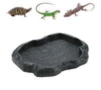 Pssopp Reptile Rock Plat à Eau Alimentaire Bol à Aliments pour Reptiles Plat à Aliments pour Animaux pour Tortue Lézard Gecko Caméléon(M-Vert)