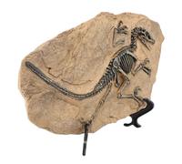 Pssopp Statue Fossile de Dinosaure en Résine, Squelette de Dinosaure, Figurine Fossile de Dinosaure, Modèle à Collectionner, Décoration D'affichage de Bureau pour la Maison et Le Bureau