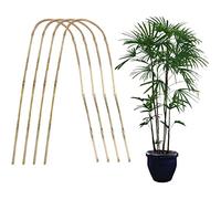 Pssopp Trelli des Plantes Premium, Support de Plantes d'escalade pour Les Glycines, Les Monstera, Le Lierre, la Plante D'intérieur, la Vigne, Le Hoya, Les Mini Fruits et Légumes (#3)