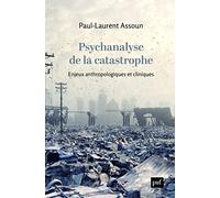 Psychanalyse de la catastrophe: Enjeux anthropologiques et cliniques
