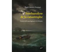 Psychanalyse de la catastrophe Enjeux anthropologiques et cliniques - Paul-Laurent Assoun - Puf - broché - Essai