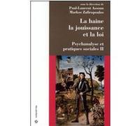 Psychanalyse et pratiques sociales volume 2, la haine, la jouissance et la loi Paul-Laurent Assoun (Auteur)