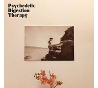 Psychedelic Digestion Therapy - Psychedelic Digestion Therapy