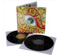 Psychedelic sound of Vinyle