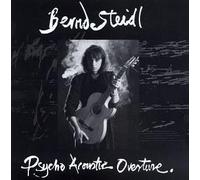 Berndl Steidl - Psycho Acoustic Over [Import]
