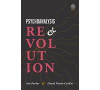 Psychoanalysis and Revolution: Critical Psychology for Liberation Movements