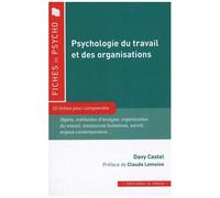 Psychologie Du Travail Et Des Organisations