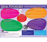 Psychologie sociale | Posters de psychologie | Papier brillant mesurant 850 mm x 594 mm (A1) | Tableaux de psychologie pour la salle de classe | Tableaux éducatifs par Daydream Education