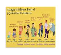 Psychology Classroom Poster Eriksons Developmental Stages Educational Chart for University Counseling Office(Unframed,16x24inch(40x60cm))