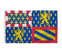 PTEROSAUR Drapeau de la Bourgogne-Franche-Comté avec œillets en laiton pour décoration intérieure et extérieure (Bourgogne-Franche-Comté, 0,9 x 1,5 m)