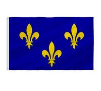 PTEROSAUR Drapeau de la Île-de-France avec œillets en laiton pour décoration intérieure et extérieure (Île-de-France, 0,6 x 0,9 m)