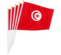 PTEROSAUR Lot de 50 drapeaux tunisiens à main, 14 x 21 cm, petits drapeaux nationaux africains tunisiens, drapeaux à agiter à main (50)