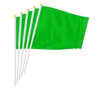 PTEROSAUR Lot de 50 petits drapeaux verts unis à main, mini drapeaux vierges de couleur verte unie, décoration de fête (vert, 14 x 21 cm)