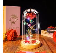 Ptesuply Lampe rose La Belle et la Bête dans le dôme en verre, rose éternelle artificielle avec lumière LED, cadeau pour femme et fille pour anniversaire, Saint-Valentin, fête des mères, Noël