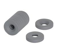 Ptfe N42 N42 N42 Aignes de Neodimio Pour Les Arts, Mesters, Favieves de Feparts, Fai -Da -Te, Hobby et Sciences - 10mm dia x 2mm D'Épaisseur x 3,2mm C