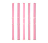 PTILSERY Lot de 5 pinceaux professionnels à double pointe pour manucure et décoration de manucure