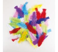 Sachet De 50 Plumes Multicolore Multicolore