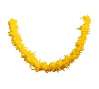 P'tit Clown - 21604 - Boa Plumes - Jaune - Longueur 160 cm - Unisexe - Accessoire Parfait pour Déguisement, Charleston, Années 20, Flapper, Carnaval, Fête costumée
