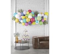 P'tit Clown - 22427 - lot de 50 Ballons 23 cm